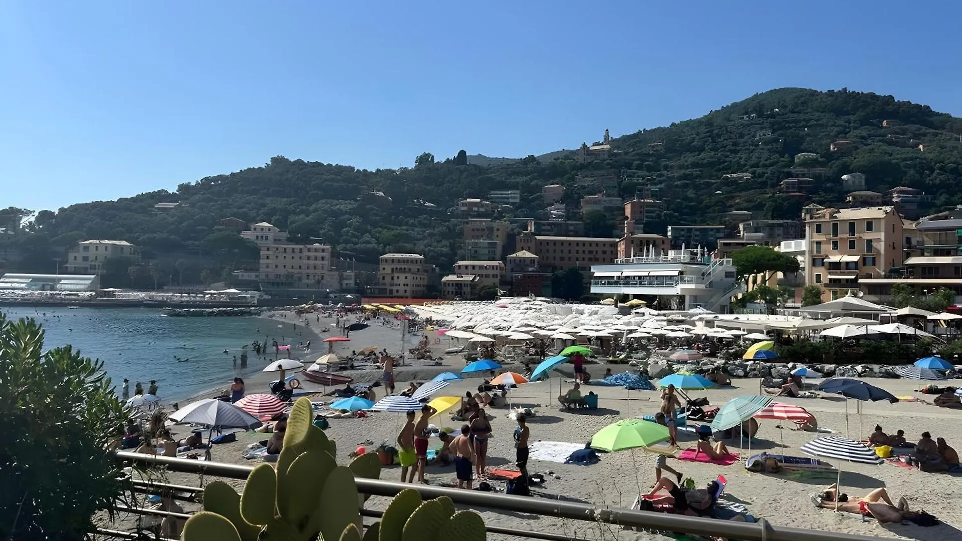 Casa Natalina Apartment Recco Italy